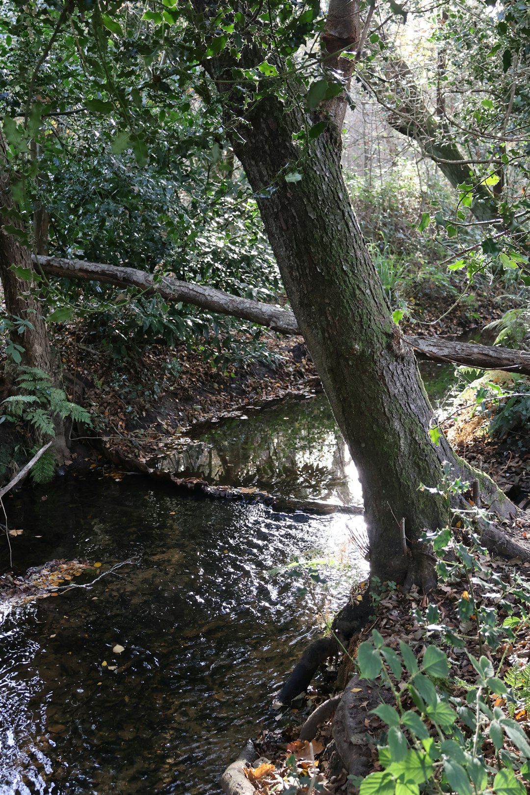 Reusable Products Guide